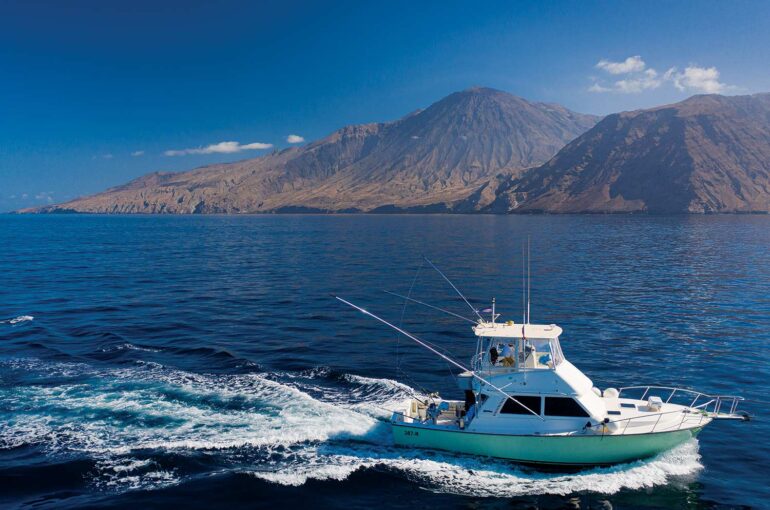 Fishing Holidays in Cape Verde