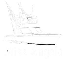 miss-angela-logo