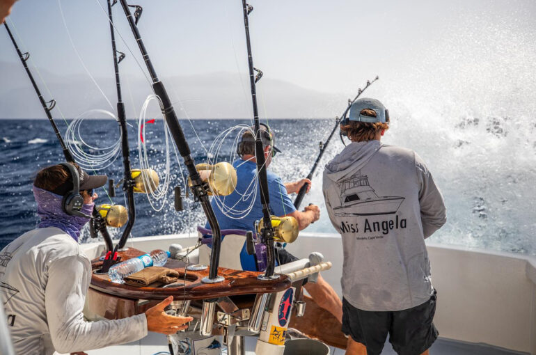 The Best Time to Go Marlin Fishing in Cape Verde