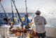 Experience the Best Sport Fishing in Cape Verde