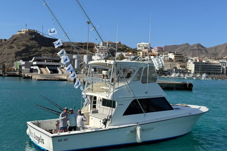 Understanding Blue Marlin: Fascinating Facts About These Magnificent Fish