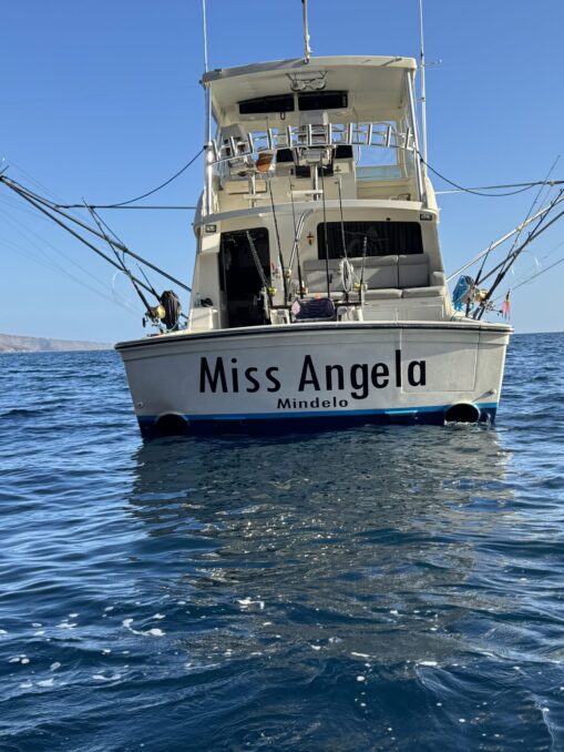 Marlin fishing Cape Verde