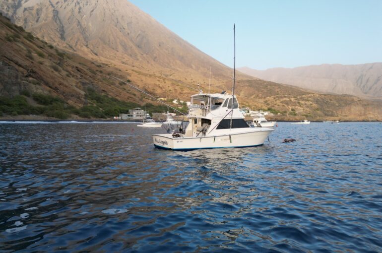Cape Verde Fishing Tours