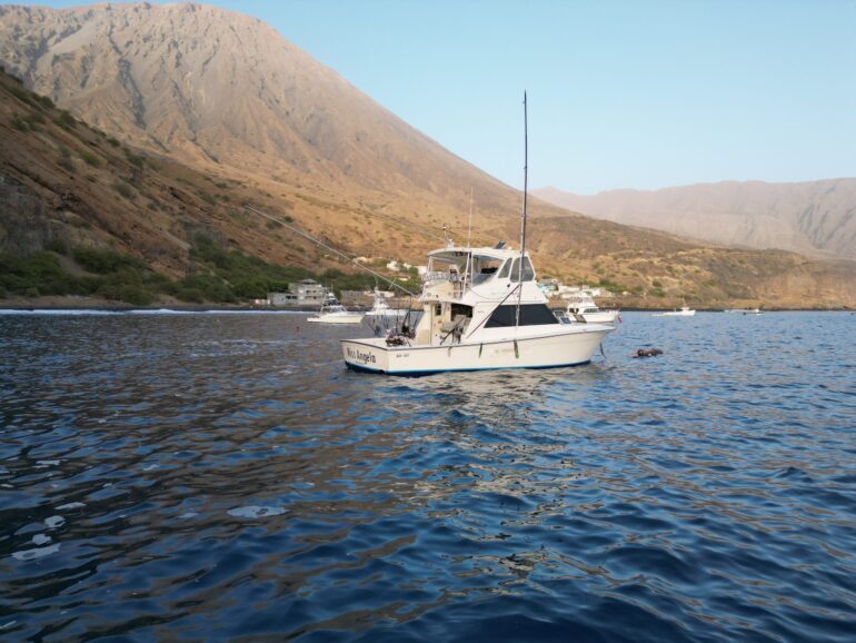 Cape Verde Fishing Tours