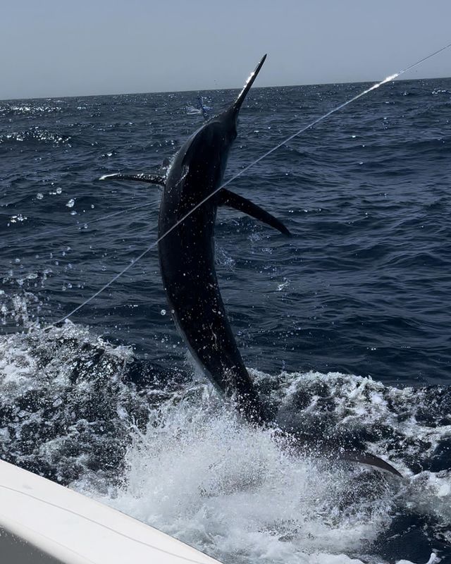 Fishing Trips in Cape Verde