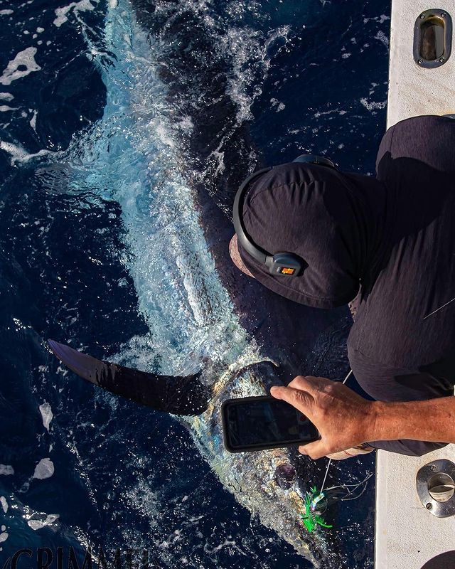 Cape Verde Fishing Activities